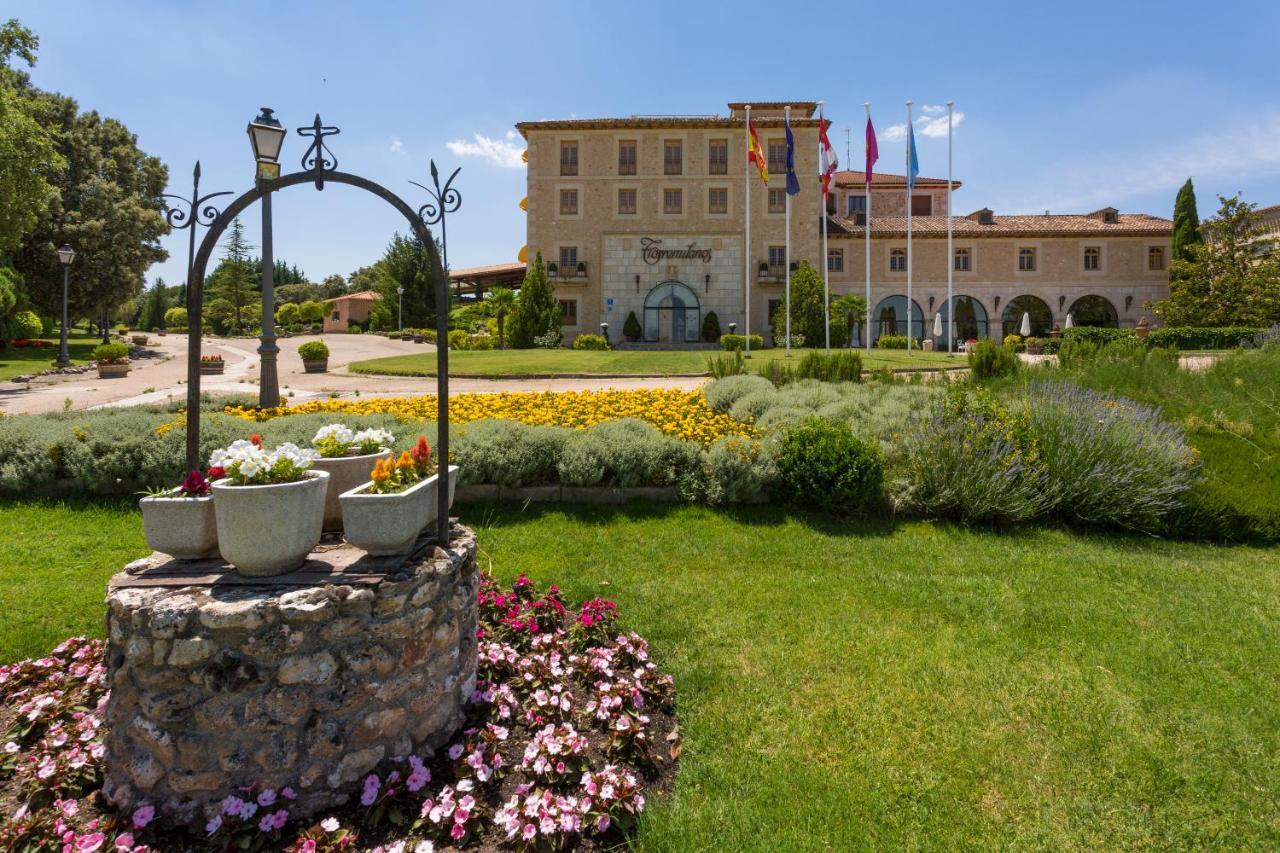 Hotel Torremilanos Aranda de Duero Zewnętrze zdjęcie